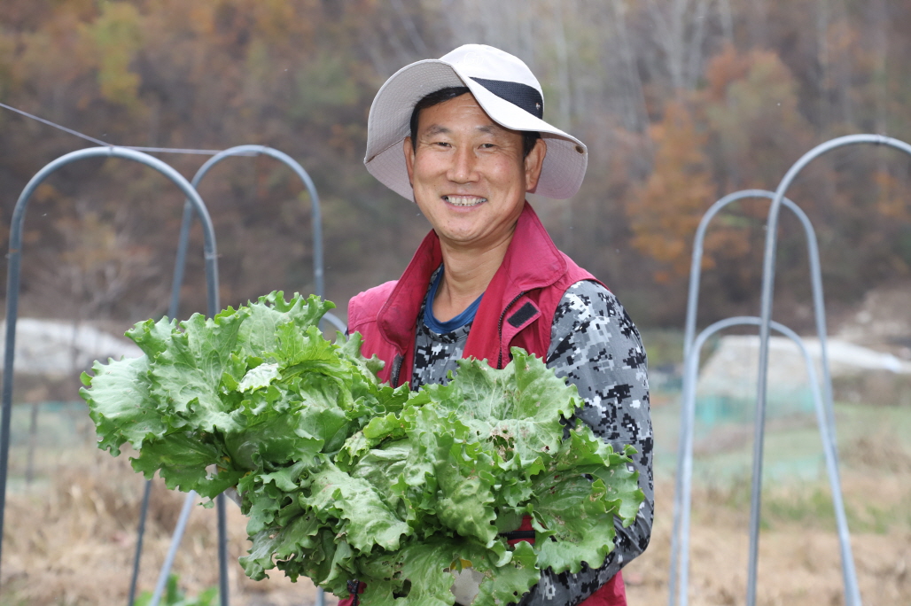 사진 이미지